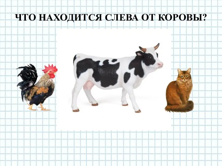 ЧТО НАХОДИТСЯ СЛЕВА ОТ КОРОВЫ?