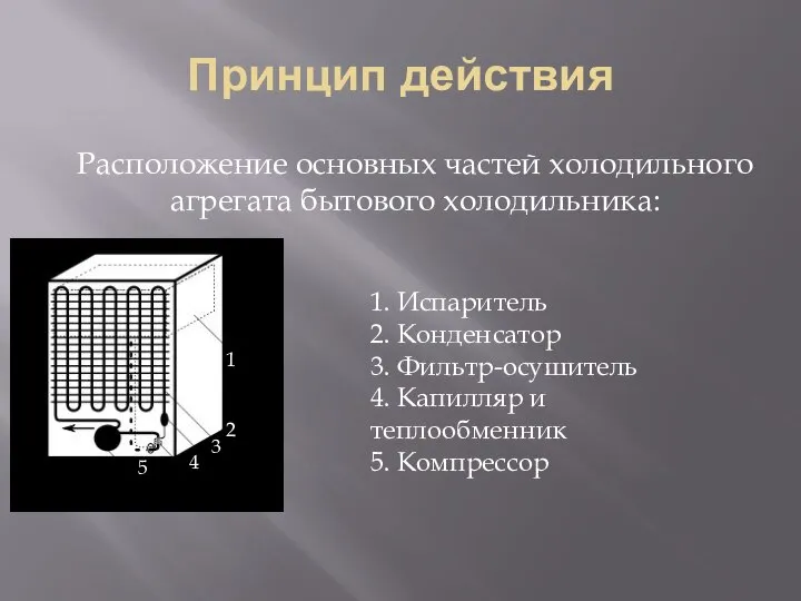 Принцип действия Расположение основных частей холодильного агрегата бытового холодильника: 1. Испаритель 2.