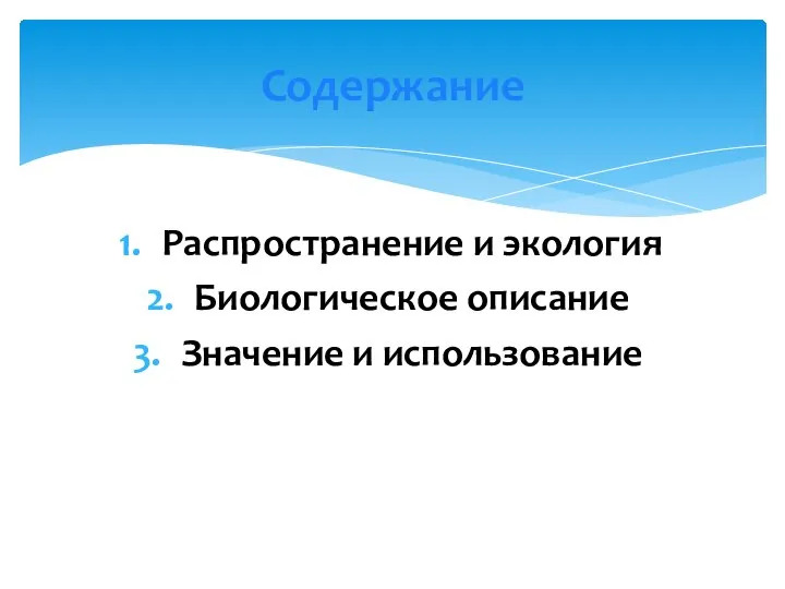 Распространение и экология Биологическое описание Значение и использование Содержание