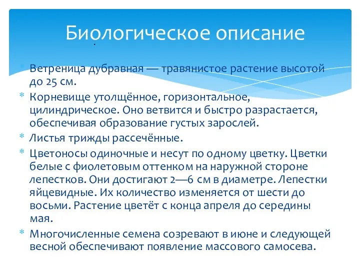 Ветреница дубравная — травянистое растение высотой до 25 см. Корневище утолщённое, горизонтальное,