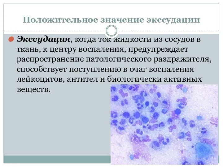 Положительное значение экссудации Экссудация, когда ток жидкости из сосудов в ткань, к