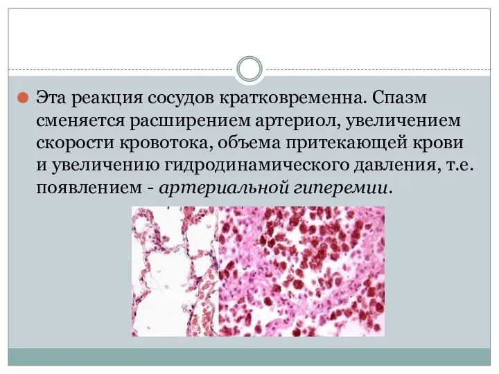 Эта реакция сосудов кратковременна. Спазм сменяется расширением артериол, увеличением скорости кровотока, объема