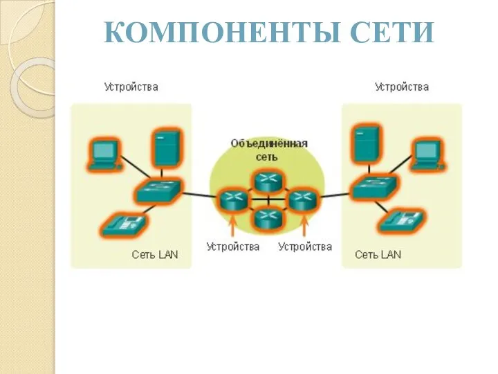 КОМПОНЕНТЫ СЕТИ