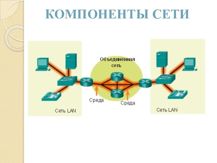 КОМПОНЕНТЫ СЕТИ