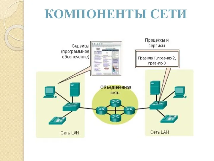 КОМПОНЕНТЫ СЕТИ