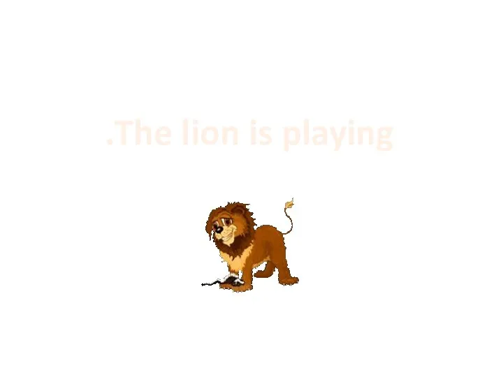 The lion is playing.