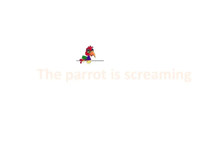 The parrot is screaming