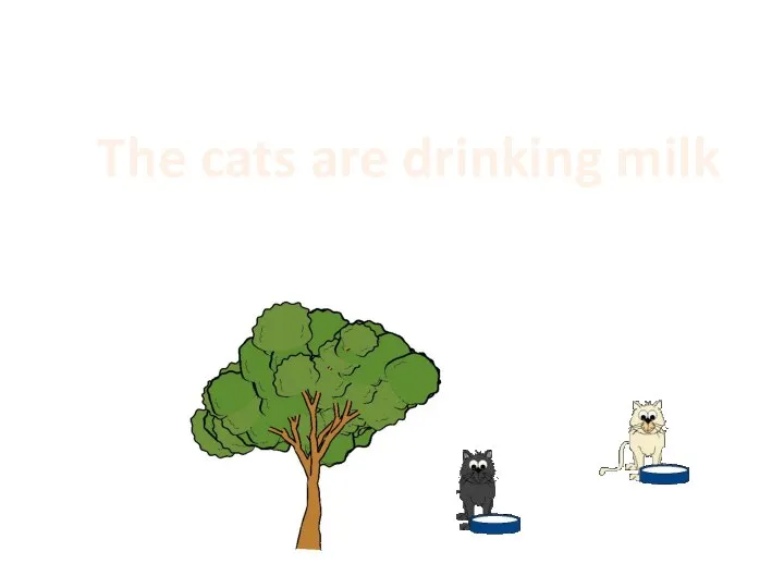 The cats are drinking milk