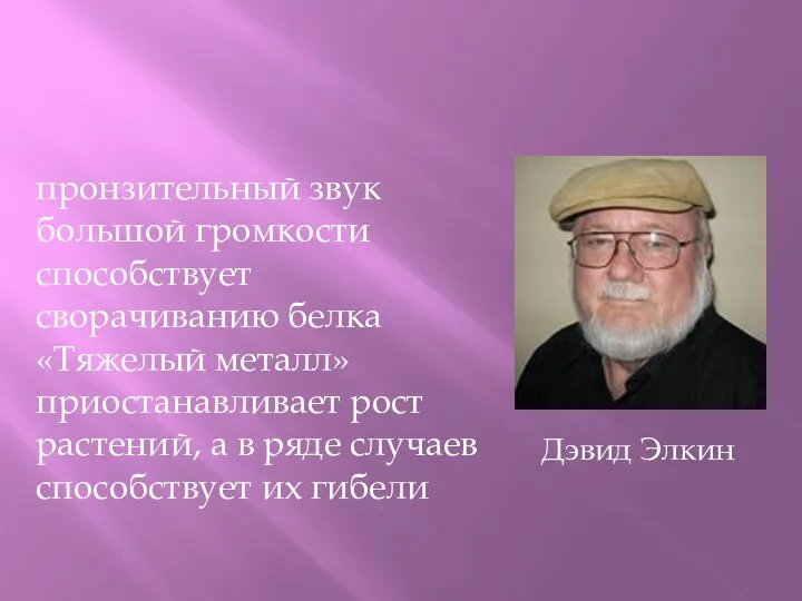 Дэвид Элкин пронзительный звук большой громкости способствует сворачиванию белка «Тяжелый металл» приостанавливает