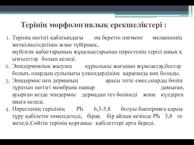 Терінің морфологиялық ерекшеліктері : Терінің негізгі қабатындағы өң беретін пигмент меланиннің жеткіліксіздігінен