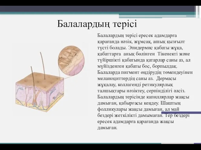 Балалардың терісі Балалардың терісі ересек адамдарға қарағанда нәзік, жұмсақ, ашық қызғылт түсті