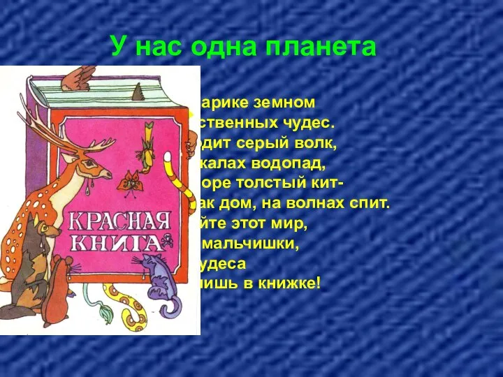 У нас одна планета На нашем шарике земном Полно таинственных чудес. По