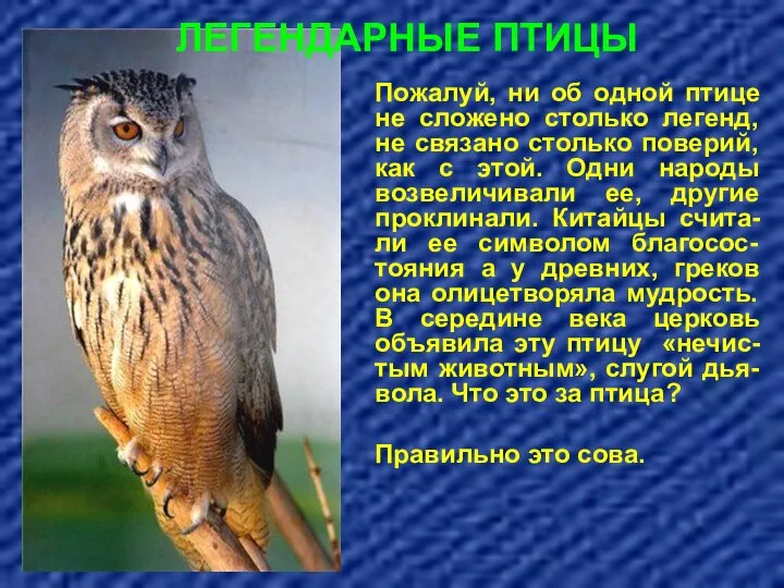 Пожалуй, ни об одной птице не сложено столько легенд, не связано столько