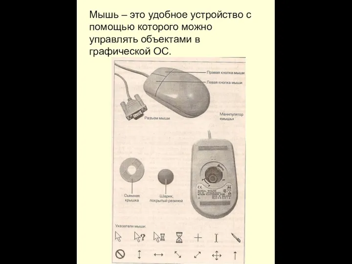 Мышь – это удобное устройство с помощью которого можно управлять объектами в графической ОС.