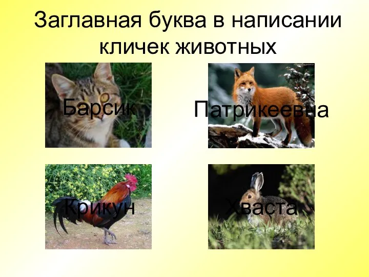 Заглавная буква в написании кличек животных Барсик Патрикеевна Хваста Крикун