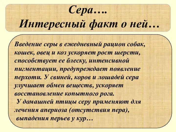 Введение серы в ежедневный рацион собак, кошек, овец и коз ускоряет рост