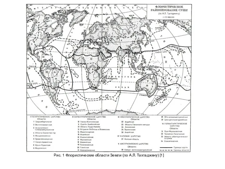 Рис. 1 Флористические области Земли (по А.Л. Тахтаджяну) [1]