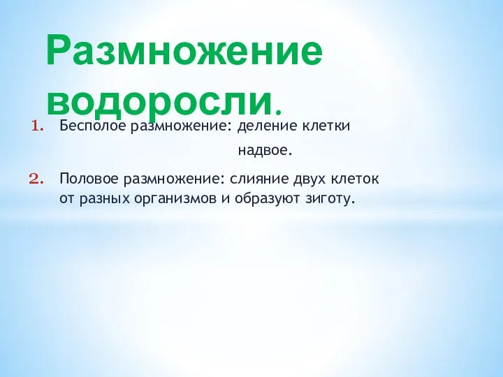 Бесполое размножение: деление клетки надвое. Половое размножение: слияние двух клеток от разных