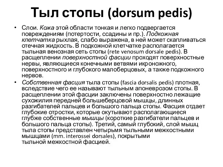 Тыл стопы (dorsum pedis) Слои. Кожа этой области тонкая и легко подвергается