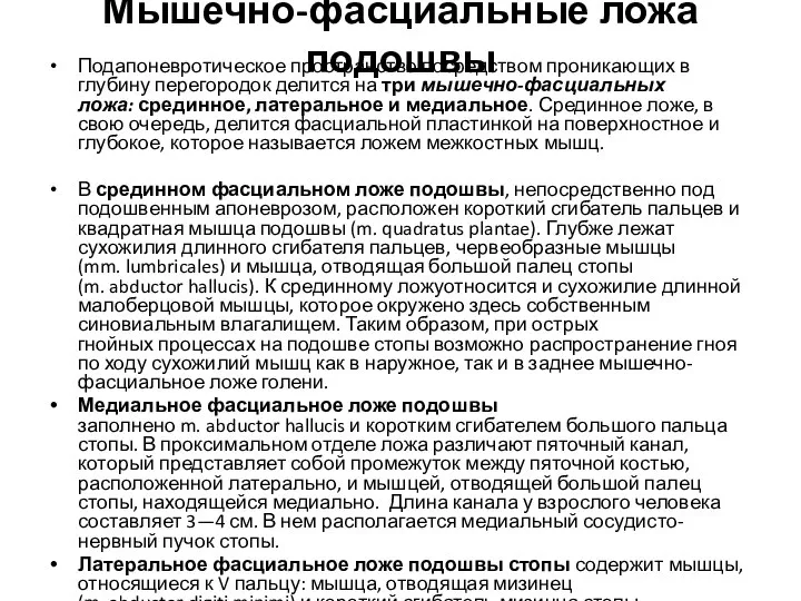 Мышечно-фасциальные ложа подошвы Подапоневротическое пространство посредством проникающих в глубину перегородок делится на