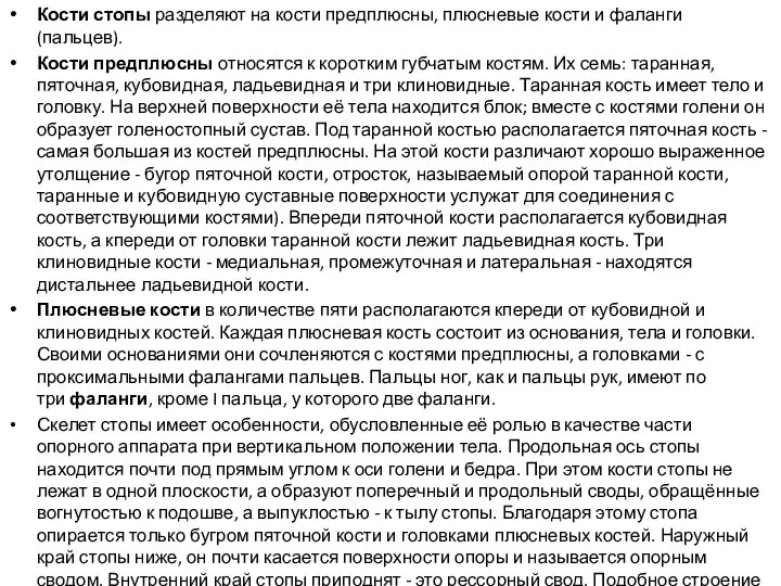 Кости стопы разделяют на кости предплюсны, плюсневые кости и фаланги (пальцев). Кости