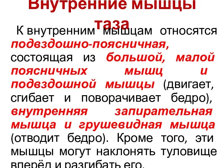 Внутренние мышцы таза К внутренним мышцам относятся подвздошно-поясничная, состоящая из большой, малой