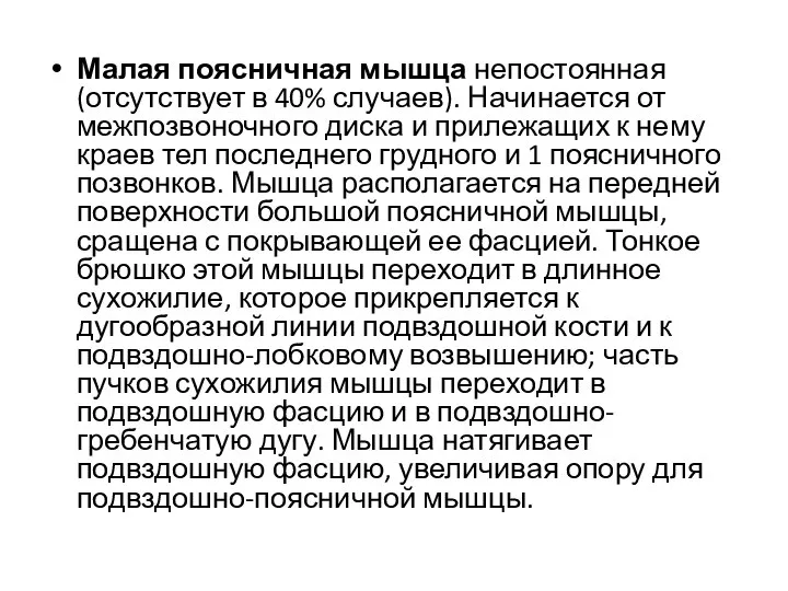 Малая поясничная мышца непостоянная (отсутствует в 40% случаев). Начинается от межпозвоночного диска