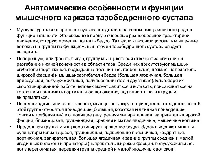 Анатомические особенности и функции мышечного каркаса тазобедренного сустава Мускулатура тазобедренного сустава представлена