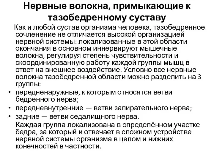 Нервные волокна, примыкающие к тазобедренному суставу Как и любой сустав организма человека,