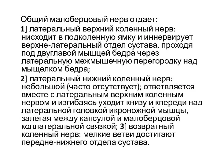 Общий малоберцовый нерв отдает: 1] латеральный верхний коленный нерв: нисходит в подколенную