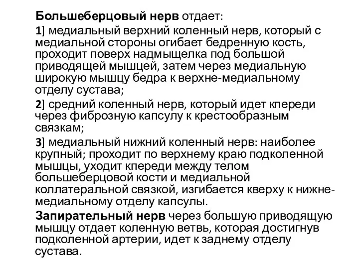 Большеберцовый нерв отдает: 1] медиальный верхний коленный нерв, который с медиальной стороны