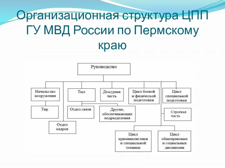 Организационная структура ЦПП ГУ МВД России по Пермскому краю