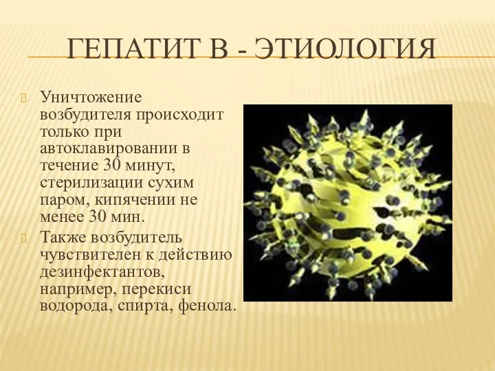 ГЕПАТИТ В - ЭТИОЛОГИЯ Уничтожение возбудителя происходит только при автоклавировании в течение