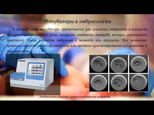 Инкубаторы в эмбриологии В данной сфере инкубаторы применяются для хранения эмбрионов и