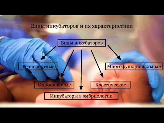 Виды инкубаторов Транспортные Стационарные Классические Многофункциональные Инкубаторы в эмбриологии Виды инкубаторов и их характеристики