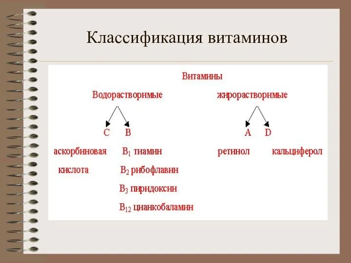 Классификация витаминов