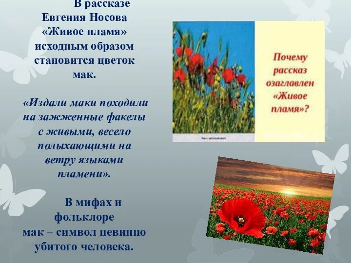 В рассказе Евгения Носова «Живое пламя» исходным образом становится цветок мак. «Издали