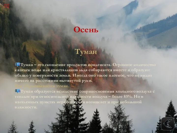 Осень Туман ?Туман – это скопление продуктов конденсата. Огромное количество капелек воды