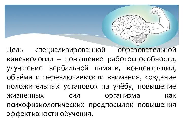 Цель специализированной образовательной кинезиологии – повышение работоспособности, улучшение вербальной памяти, концентрации, объёма