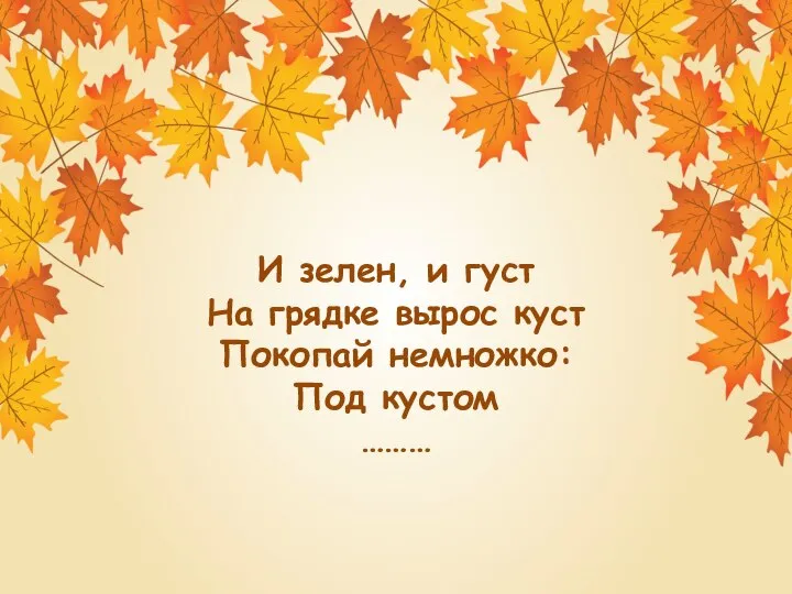 И зелен, и густ На грядке вырос куст Покопай немножко: Под кустом ………