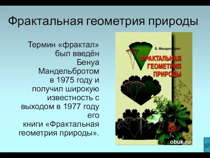 Фрактальная геометрия природы Термин «фрактал» был введён Бенуа Мандельбротом в 1975 году