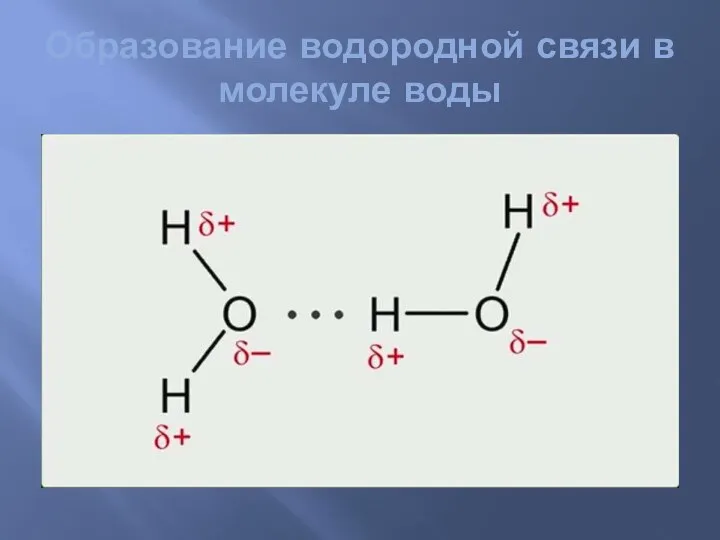 Образование водородной связи в молекуле воды