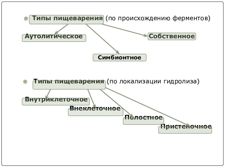 Типы пищеварения (по происхождению ферментов) Аутолитическое Собственное Типы пищеварения (по локализации гидролиза)