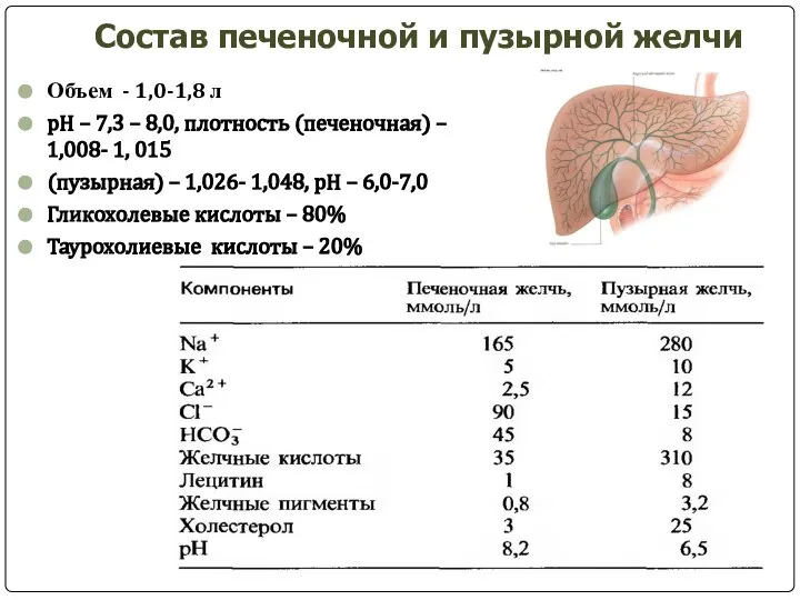 Состав печеночной и пузырной желчи Объем - 1,0-1,8 л pH – 7,3