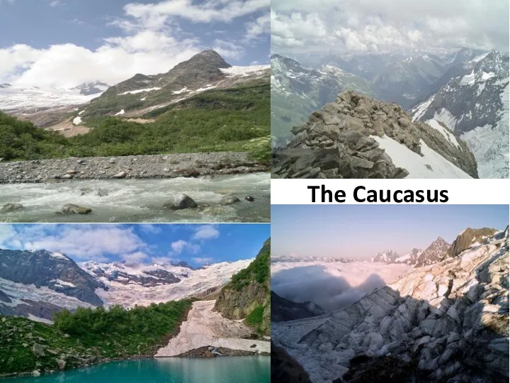 The Caucasus