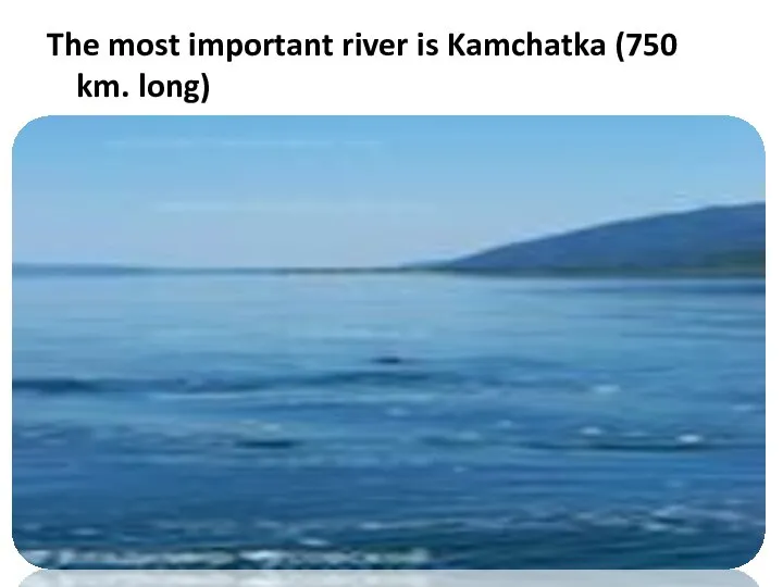 The most important river is Kamchatka (750 km. long)