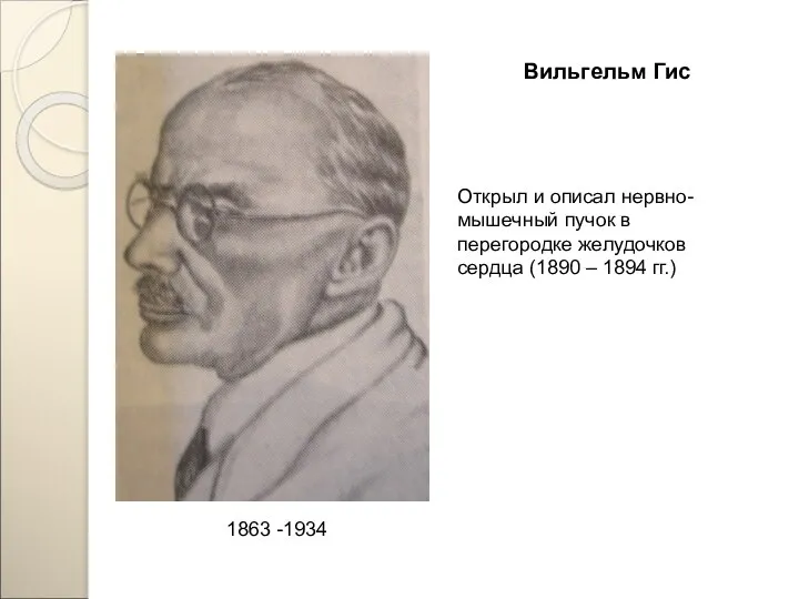 Вильгельм Гис 1863 -1934 Открыл и описал нервно-мышечный пучок в перегородке желудочков