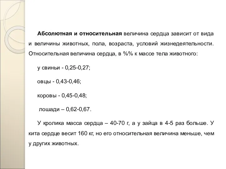 Абсолютная и относительная величина сердца зависит от вида и величины животных, пола,