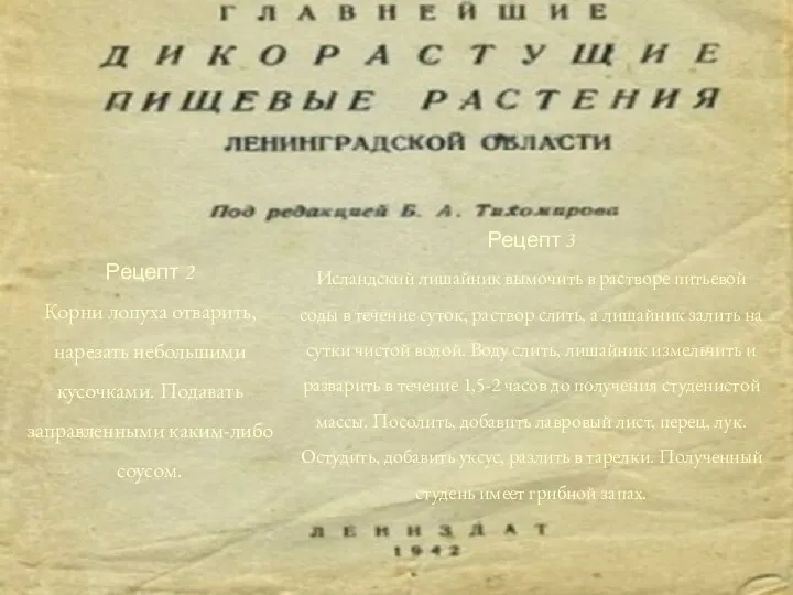 Рецепт 3 Исландский лишайник вымочить в растворе питьевой соды в течение суток,