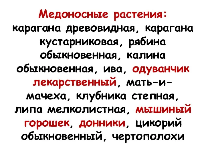 Медоносные растения: карагана древовидная, карагана кустарниковая, рябина обыкновенная, калина обыкновенная, ива, одуванчик